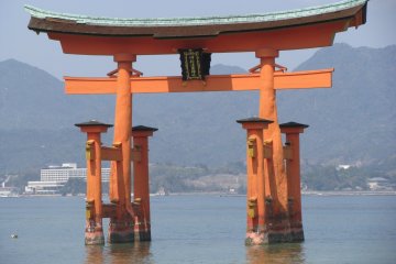 Torii of Shinto Shrines