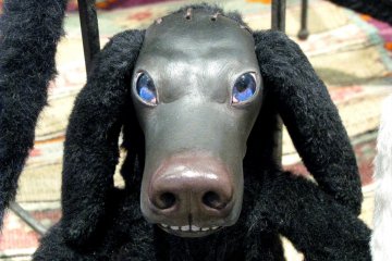 A dog!