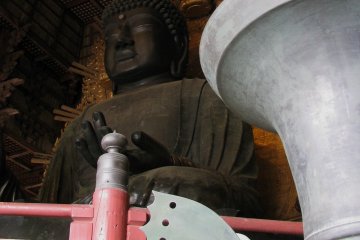 A butterfly in Todai-ji