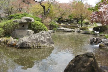 Usually in parks you can see real birds, but not sculptures (small herons on the right) 