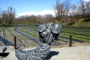 Wasabi sculpture in Azumino