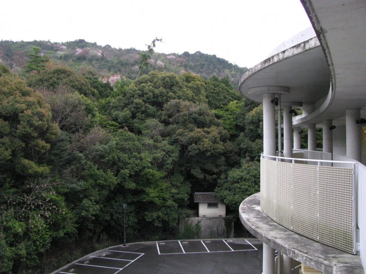 The onsen was surrounded by wood from one side...