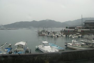The view could be great on a fine day!