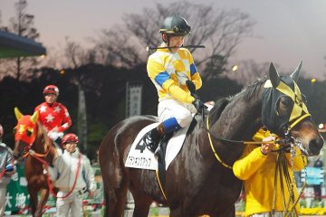 Night races at Tokyo City Keiba