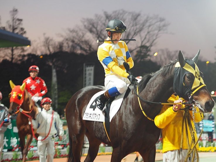 Night races at Tokyo City Keiba