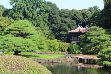 Spacious and beautiful Shinjuku Gyoen