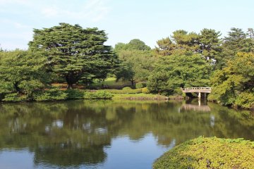 One of the peaceful views of Shinjuku Gyoen