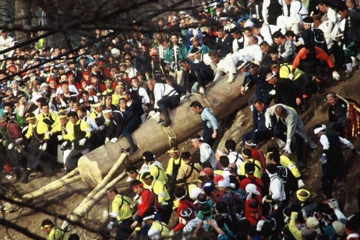 Riding a log seems a dangerous way to prove your bravery