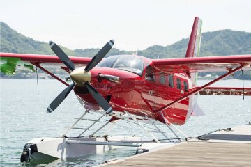 Kodiak 100