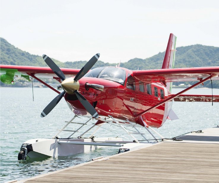 Kodiak 100