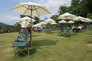 Comfortable rest zone in Ashikaga Flower Park