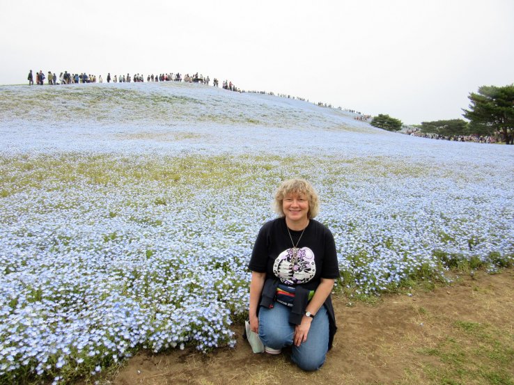 Amazing blue fields!