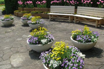 You can enjoy the views from the benches