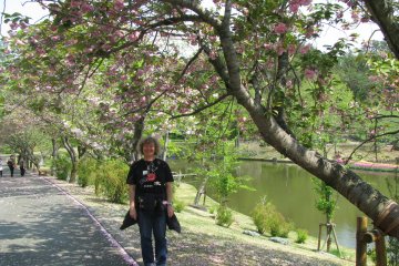 Parks are among my favorite places in Japan!