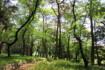 Shady Omiya Park