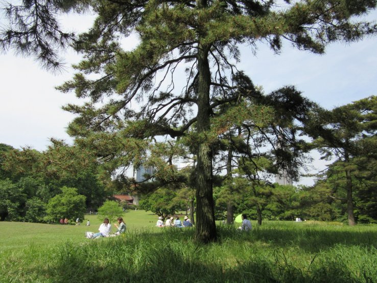On a warm sunny day many people go out for picnics in parks