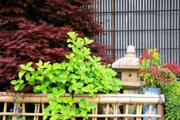 The locals work hard to keep Magome beautiful.