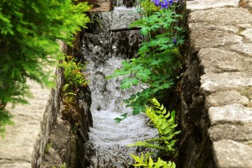 Beside the main street, water gutters lined with beautiful flowers.