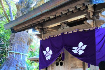 The entrance to the shrine