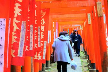 The beautiful series of red gates