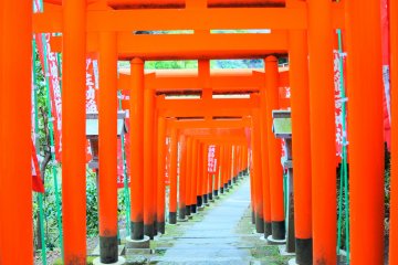 Path of red torii gates leading inside 