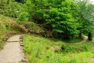 The path heads into the forest.