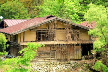 Walk past farms and homes along the route.