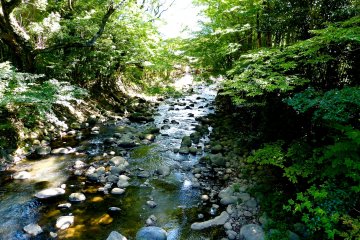 Katsura River