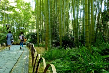 The short path barriers are also made of bamboo