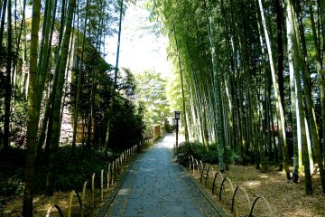 A refreshing and magical place