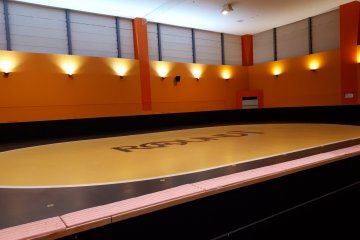 An inline skate and roller skate rink