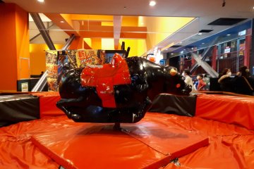 A rodeo, of all things!