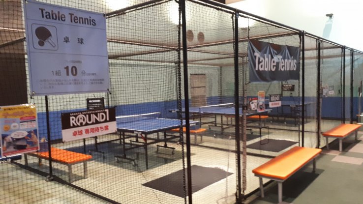 Table tennis fun