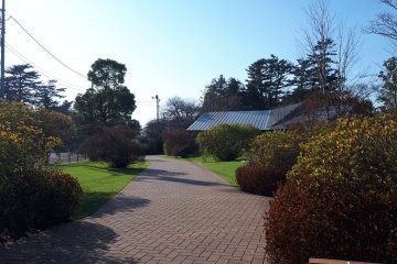 Easy path into the park 
