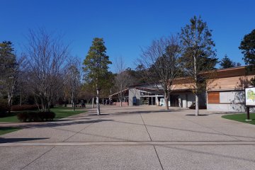 Lots of space 