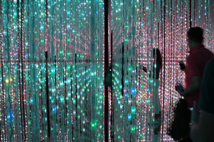 Digital Art Museum TeamLab Borderless