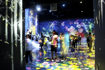 Digital Art Museum TeamLab Borderless