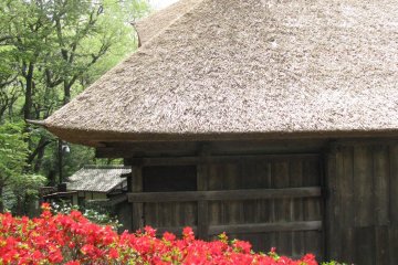 Nihon Minkaen
