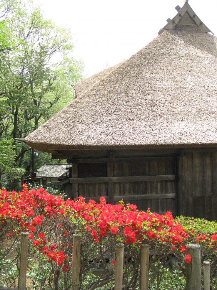Nihon Minkaen