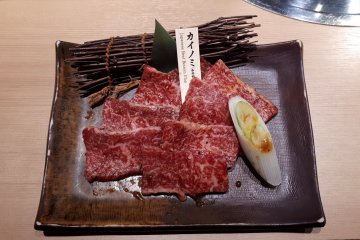 Sendai beef