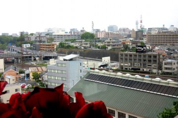 The view from the restaurant