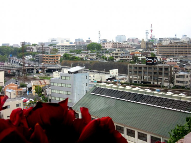 The view from the restaurant