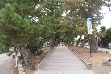 Miho no Matsubara
