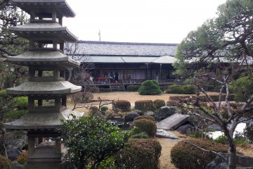 The viewing corridor from across the garden