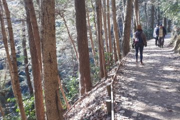 Sunlit hiking trail up the mountain