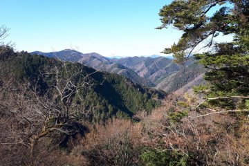 Views from the mountain
