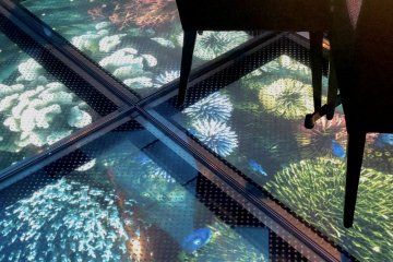 Projections on the Floor