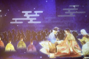 'Princess Kaguya' Animation Projection