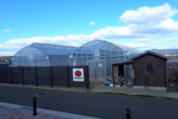 Tomato House