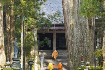 The Sweet Soul of Wakayama 